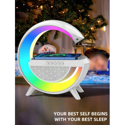 Boxa BT2301 HIFI cu incarcare Wirleess cu  Bluetooth si Radio