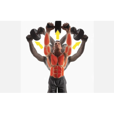 Roata abdomen MARE All Round Abdomen cu coarne